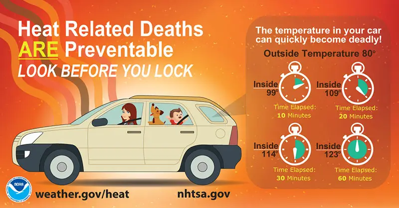 Summer car safety South coast public health coalition